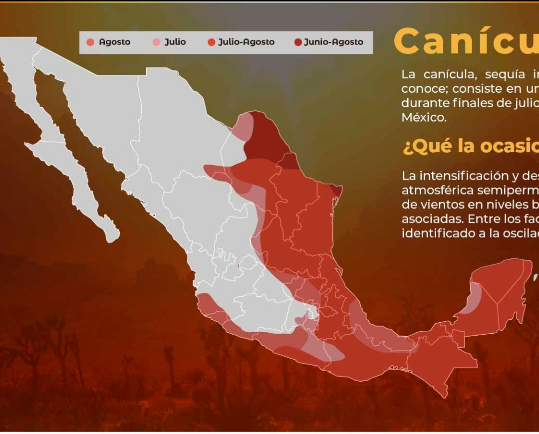 canicuas6