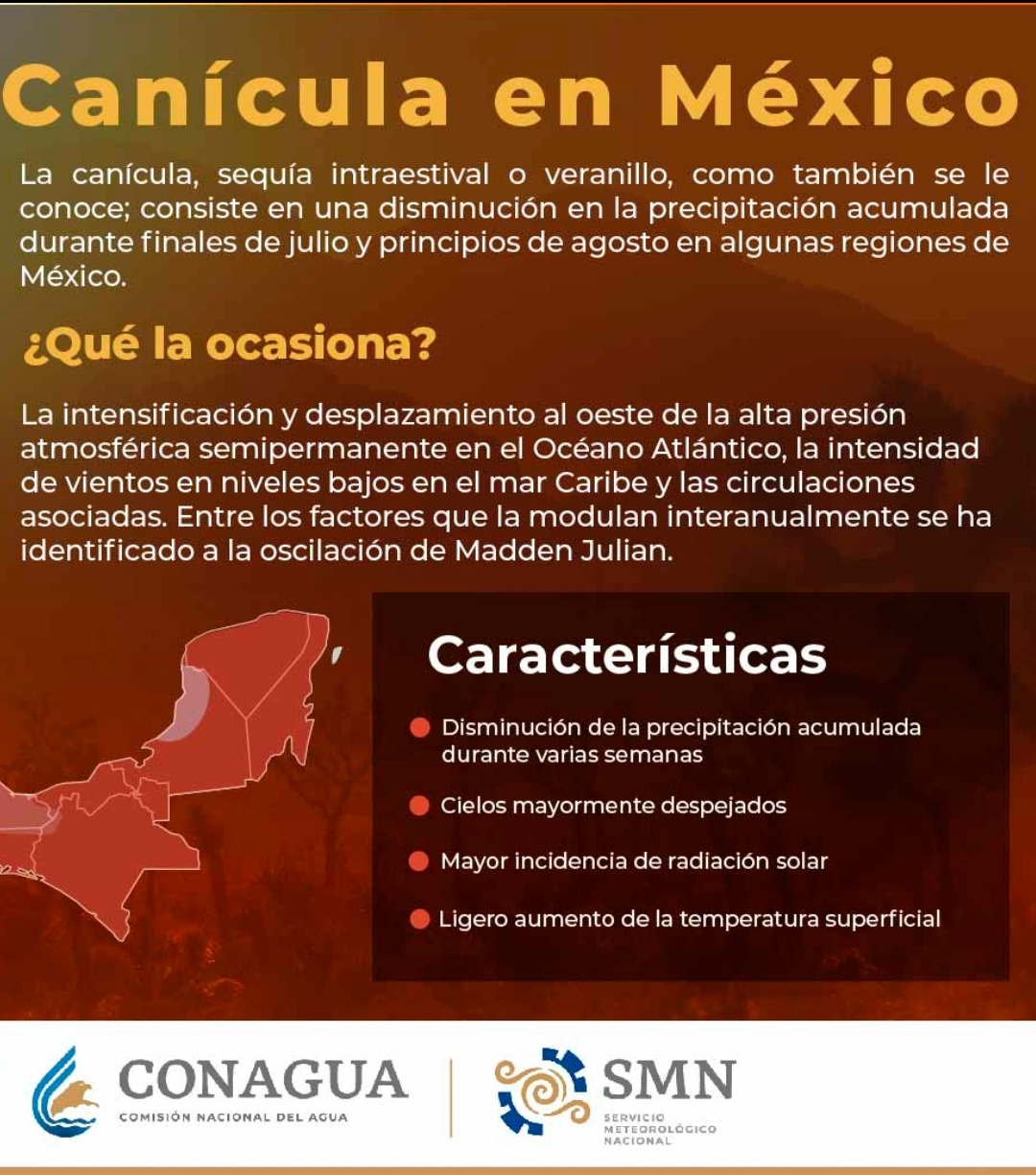 canicula5