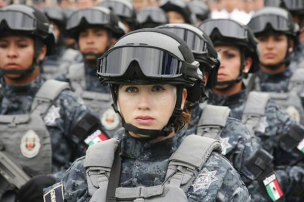 poliguard 1