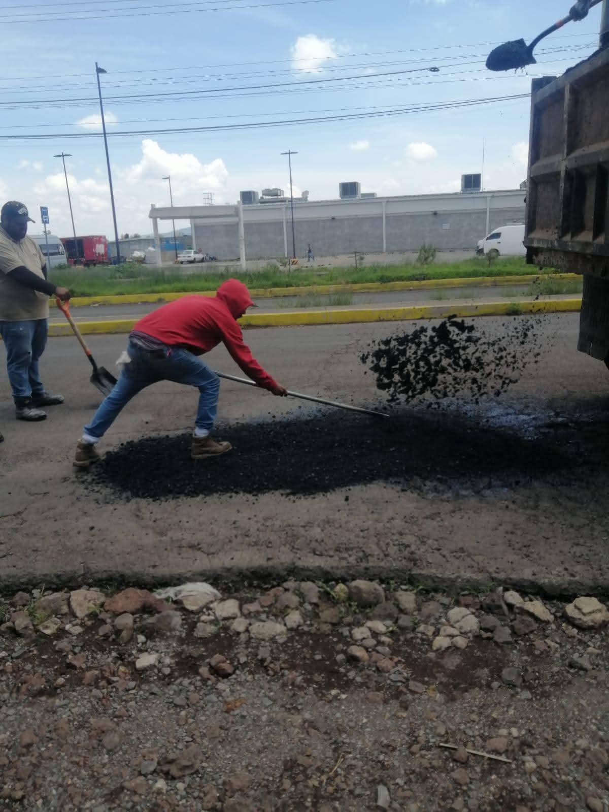 bacheo