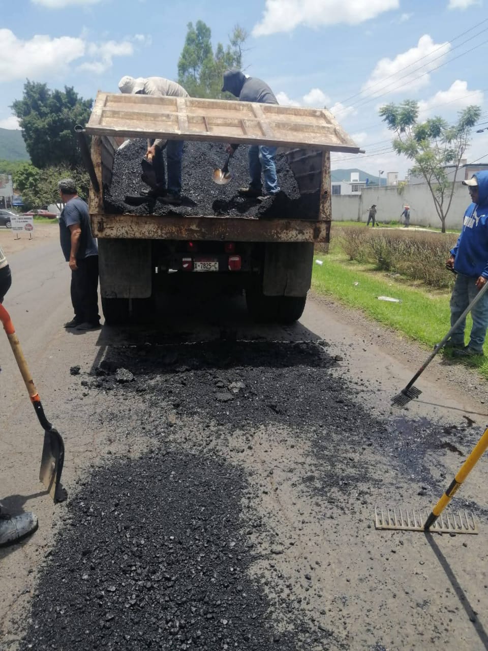 bacheo5