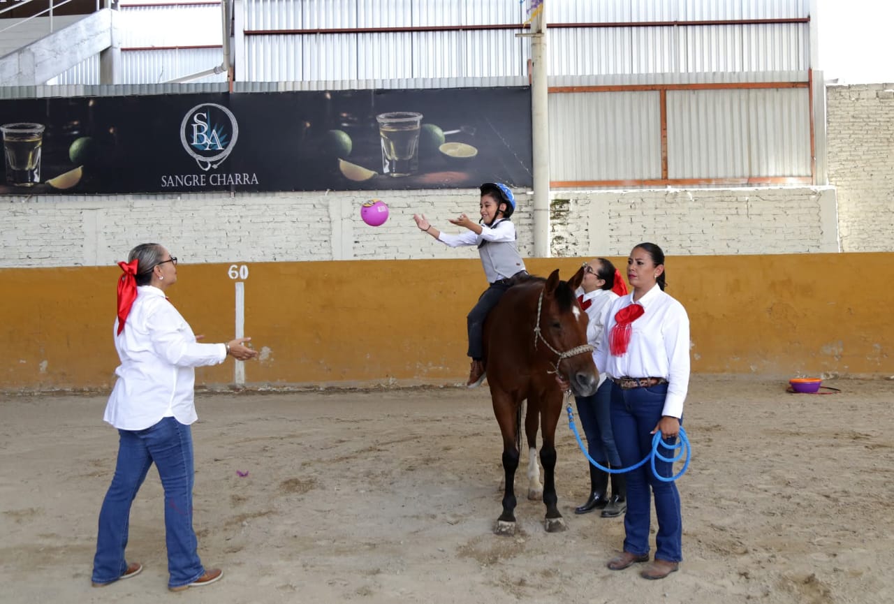 equinoter4