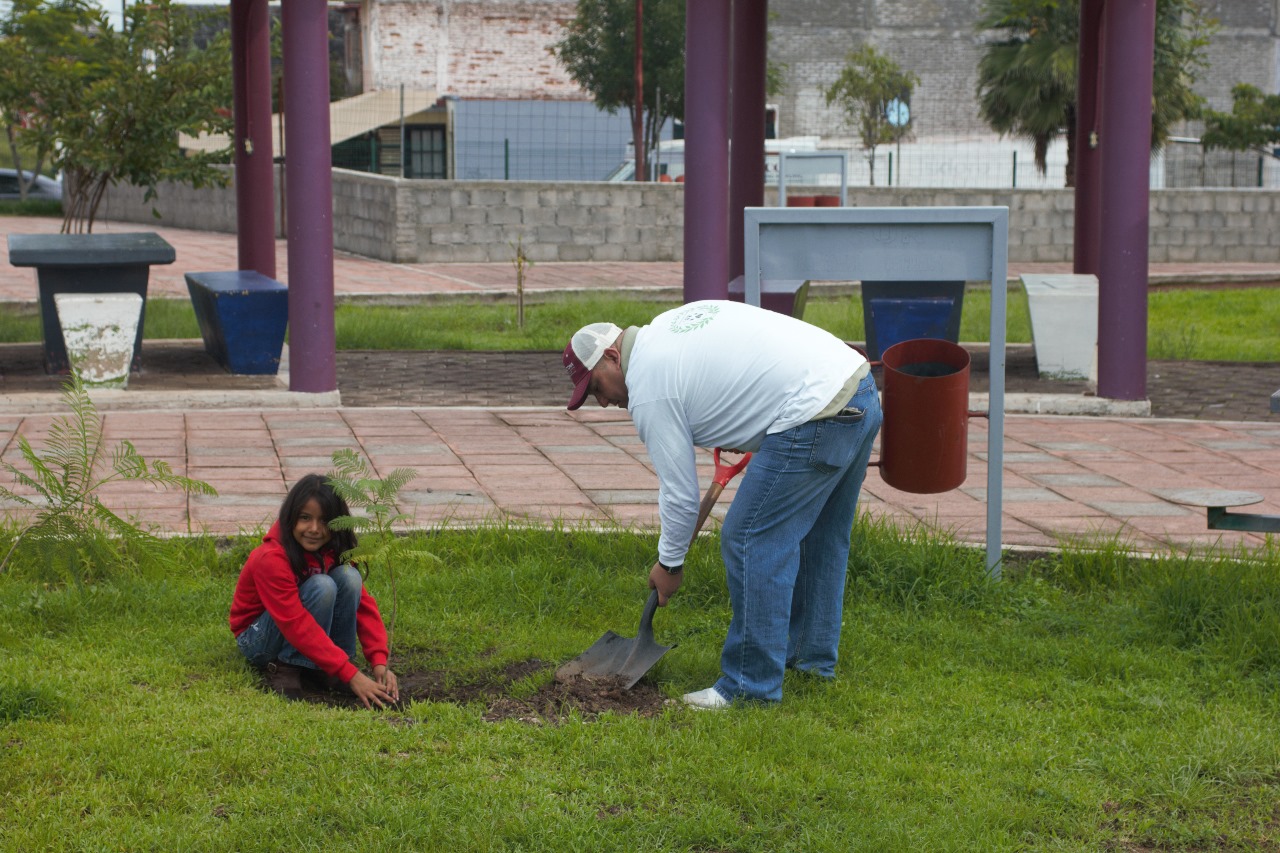 reforesa3