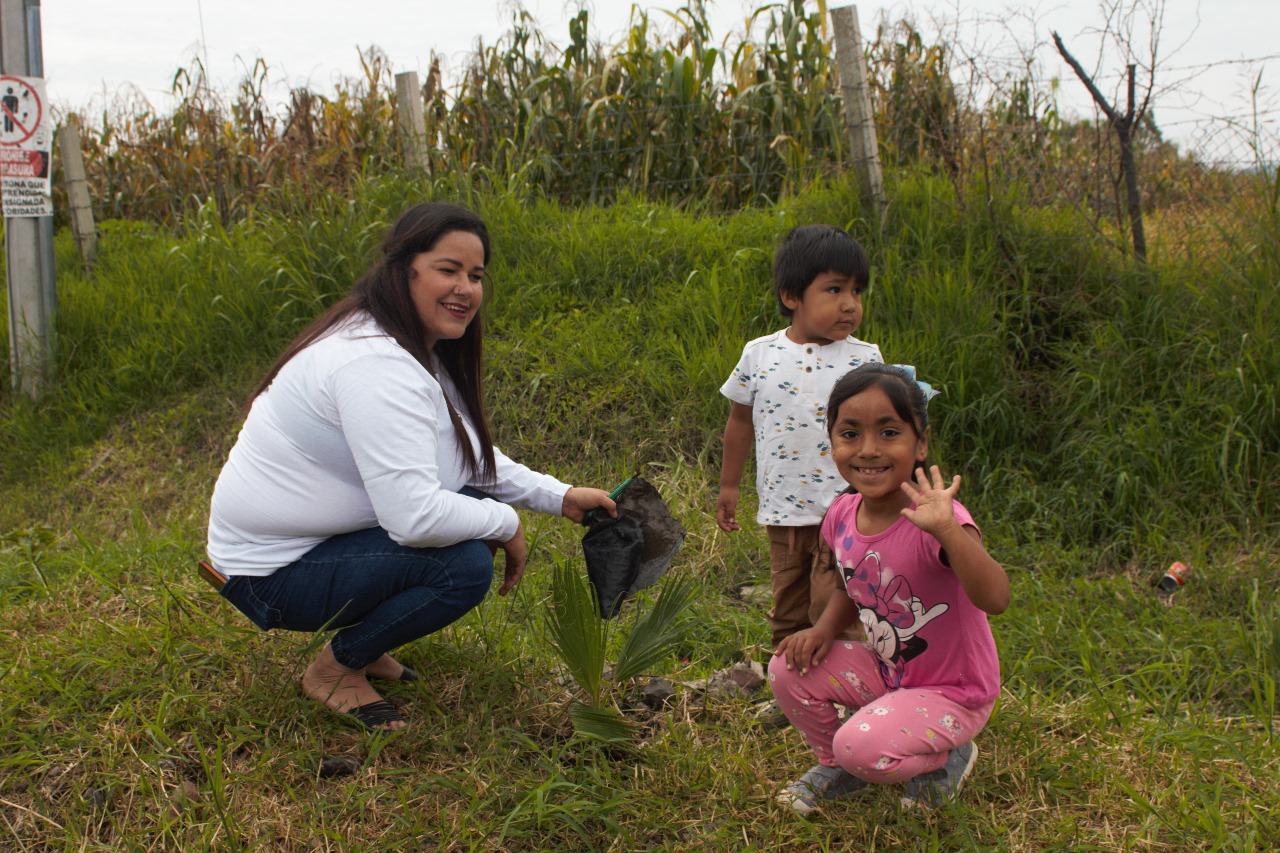reforesta2